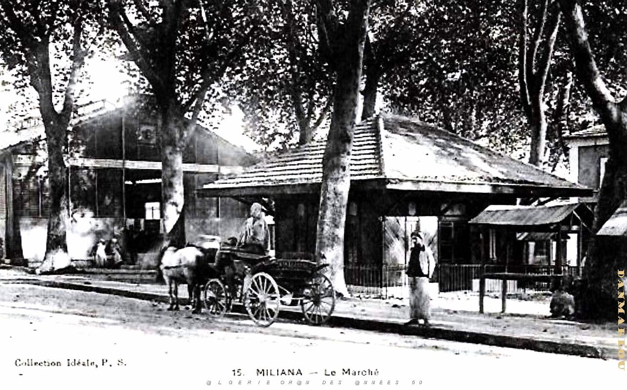Miliana - Marche.jpg